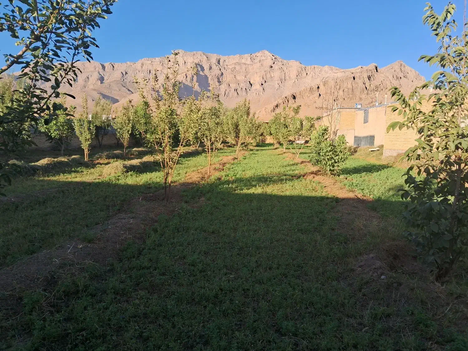 باغ و زمین مسکونی|فروش زمین و ملک کلنگی|خاوه, |دیوار