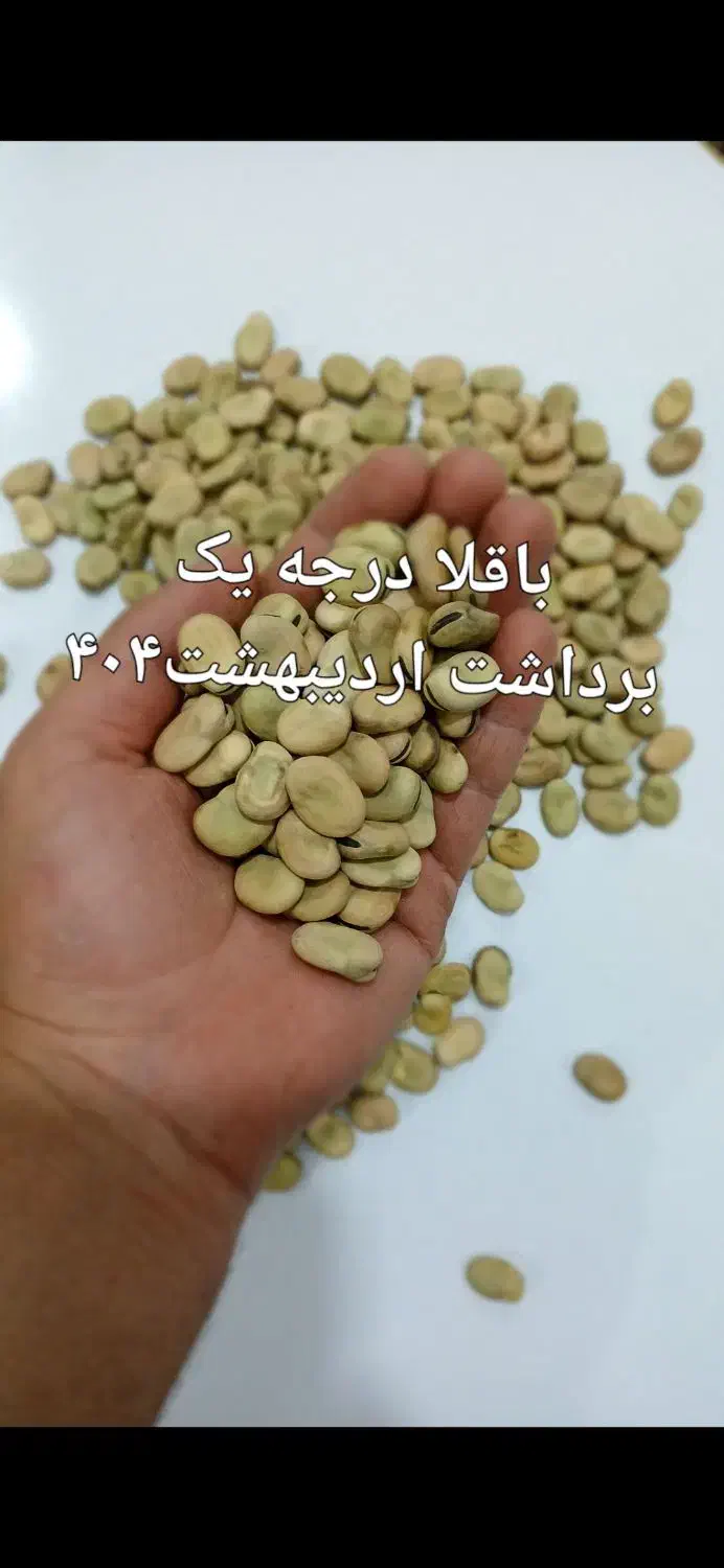 باقلا|خوردنی و آشامیدنی|فسا, |دیوار