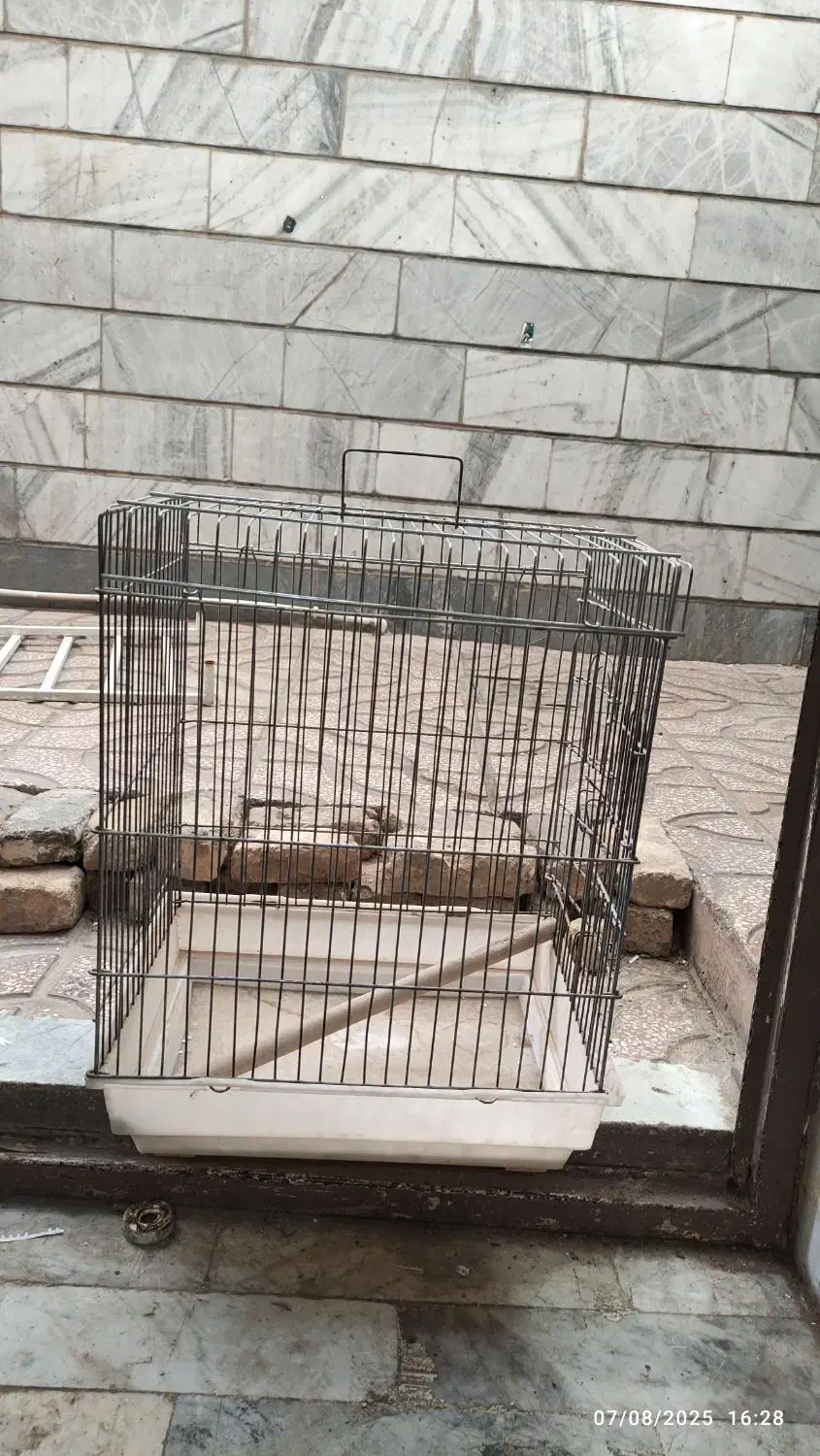 قفسه پرنده|لوازم جانبی حیوانات|مشکین‌دشت, |دیوار