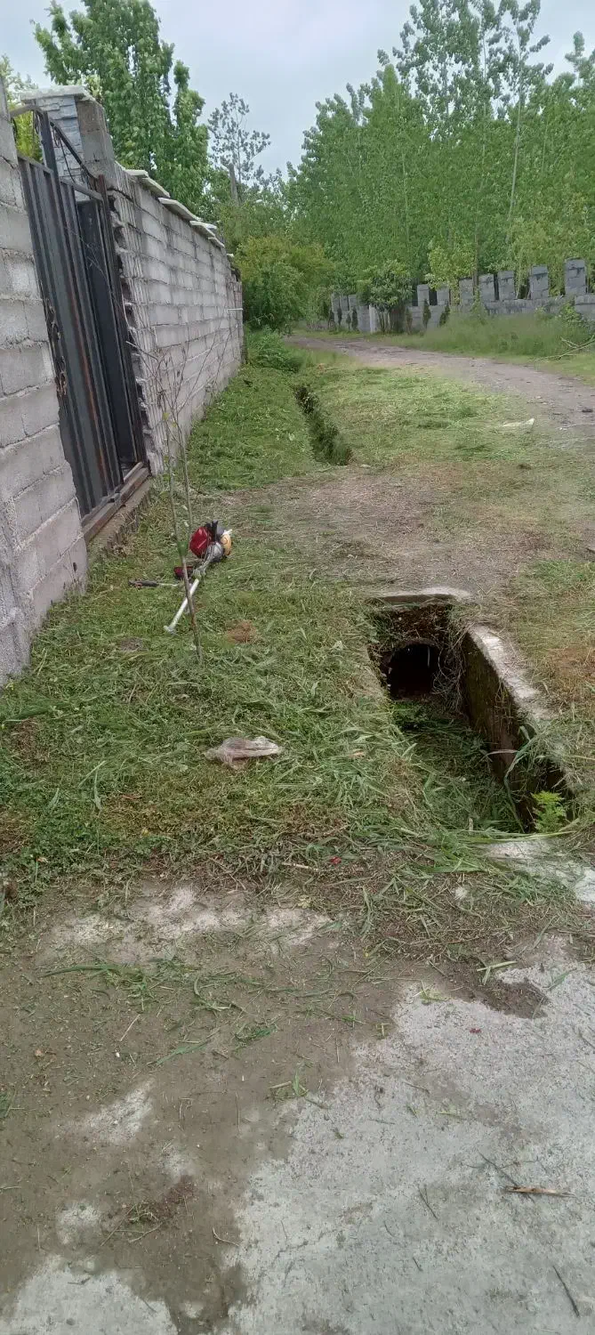 علف زنی و هرس کردن درختان با دستگاه|خدمات باغبانی و درختکاری|رشت, حومه رشت|دیوار