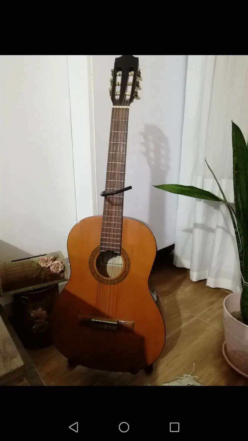 گیتار هافنر c60آلمانی|گیتار، بیس، امپلیفایر|لاهیجان, گلستان|دیوار