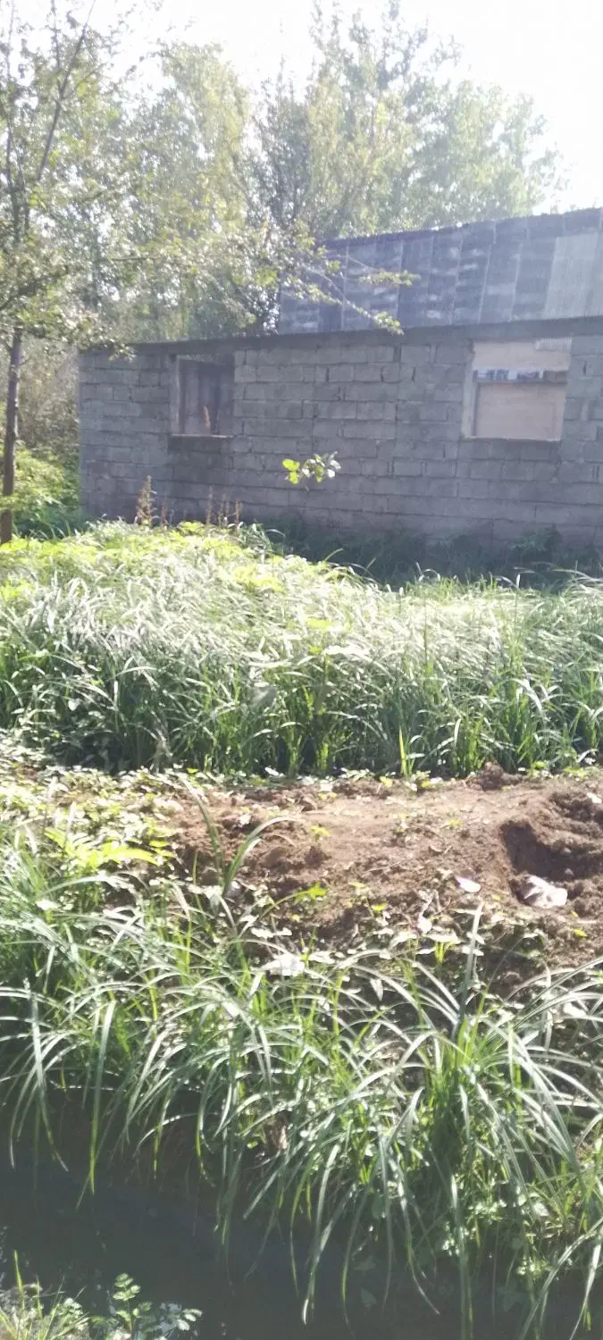 زمین ۱۶۰ متر با کاربری مسکونی در لاهیجان|فروش زمین و ملک کلنگی|لاهیجان, لیالستان|دیوار