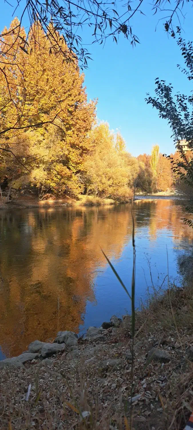 جویای کار...کارشناس برق،برقکار عسلویه|خدمات پیشه و مهارت|شهرکرد, |دیوار