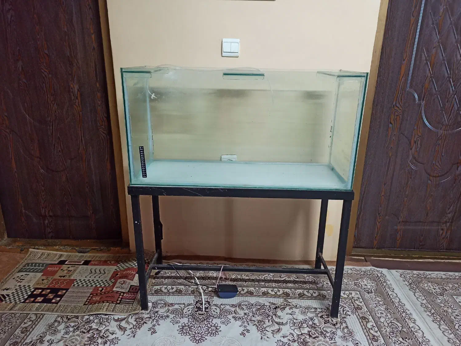 آکواریوم ماهی ۳ عدد|ماهی|بندر انزلی, متروپل|دیوار