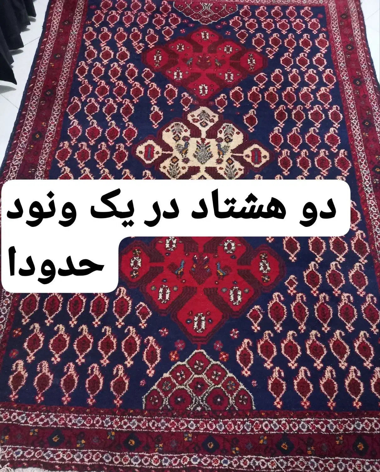 قالی دستبافت|فرش|کرمان, |دیوار