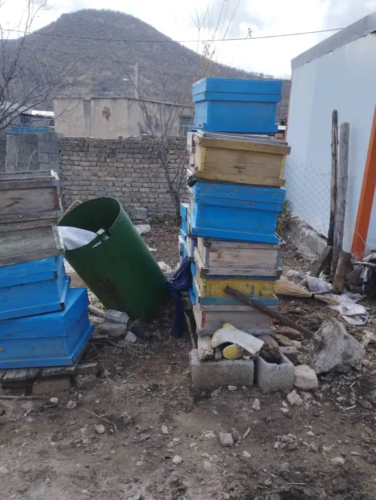 کندو زنبور عسل|لوازم جانبی حیوانات|گهواره, |دیوار