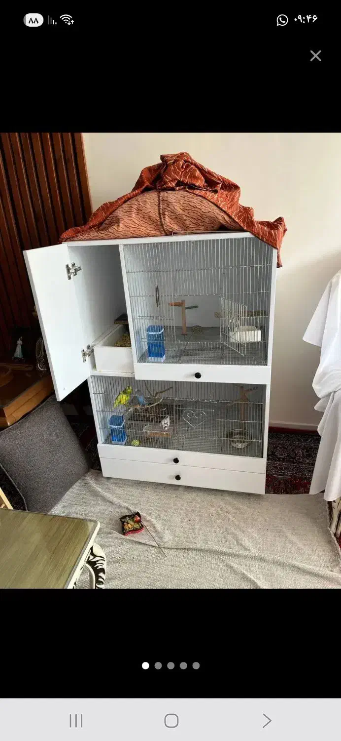 خریدار قفس پی وی سی اروپایی|لوازم جانبی حیوانات|رفسنجان, |دیوار