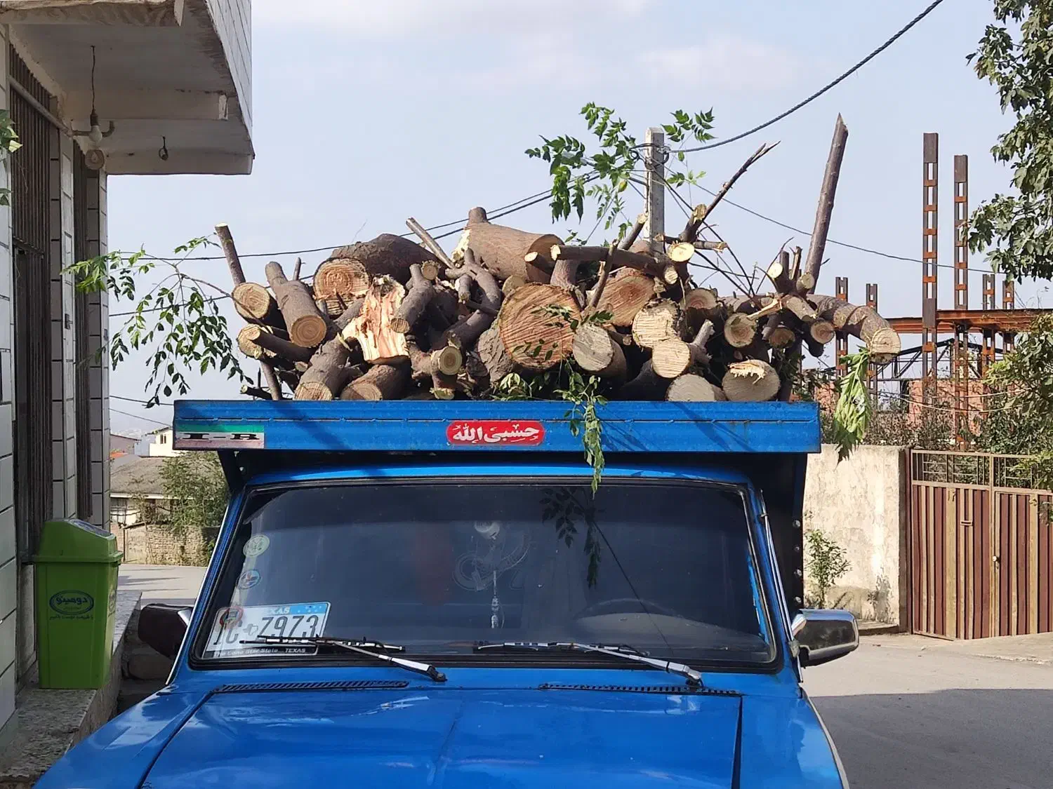 خرید چوب باغی و ساختمانی|خدمات باغبانی و درختکاری|گرگان, |دیوار