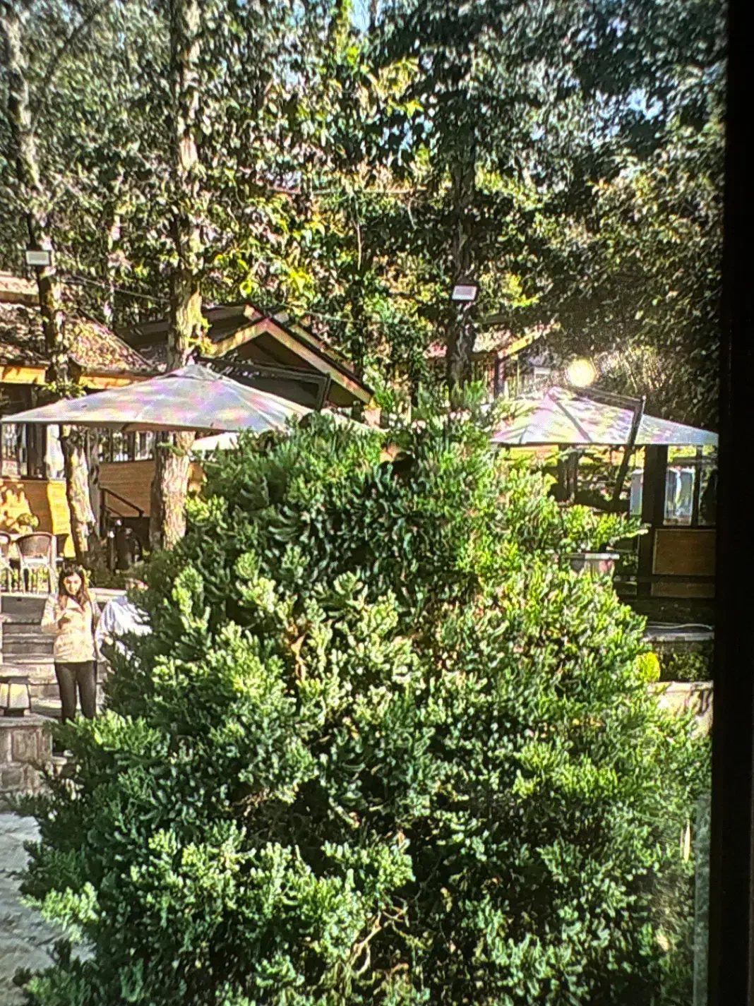 استخدام سرایدار|استخدام سرایداری و نظافت|آمل, |دیوار