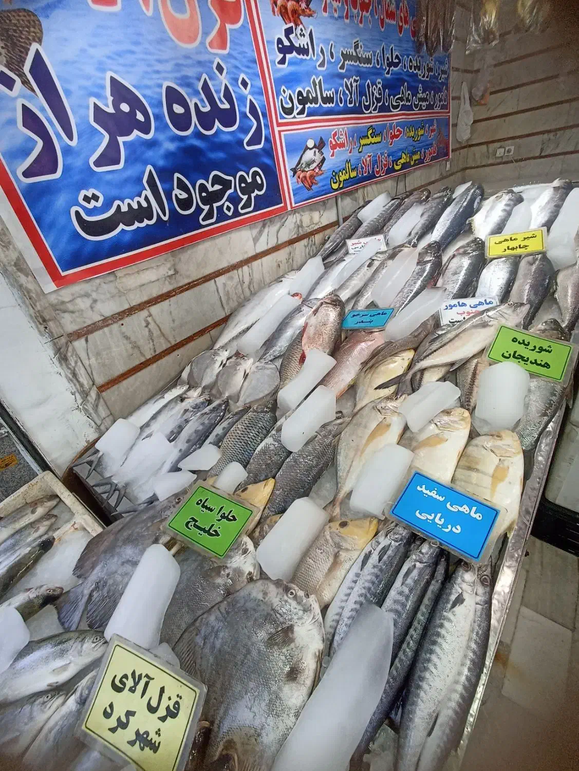 یخچال ماهی فروشی کفی شیب دار|فروشگاه و مغازه|تهران, ایران|دیوار