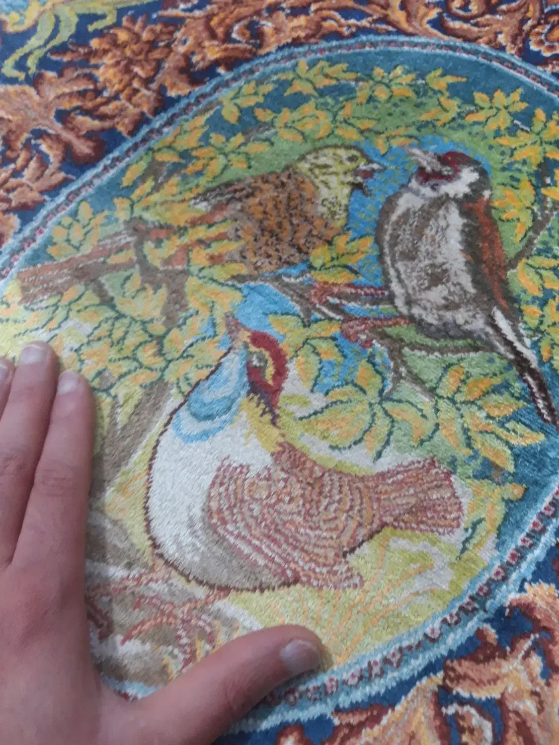 قالیچه دستبافت زرع ونیم یک در یک نیم|فرش|تهران, دکتر هوشیار|دیوار