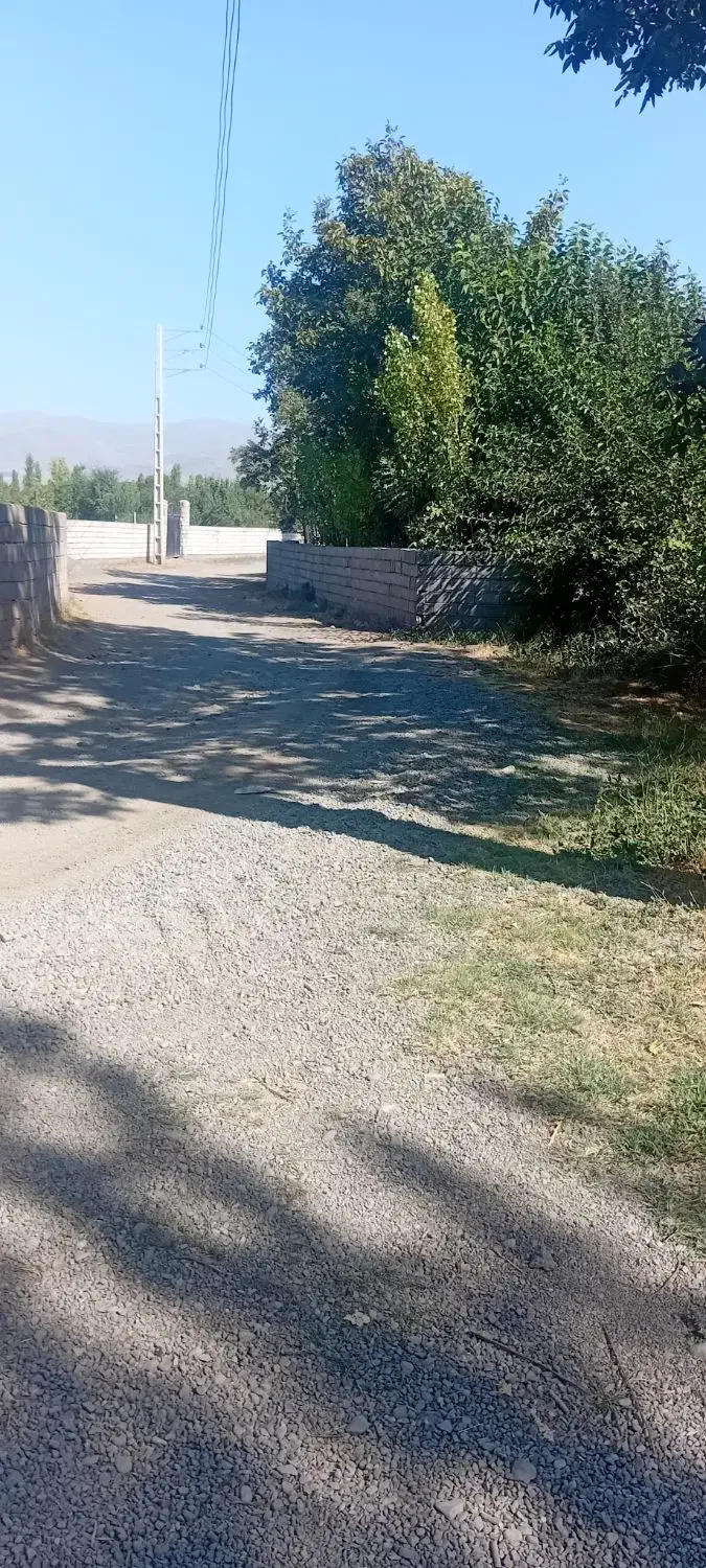 باغ۱۰۰۰متری قدیمی|فروش زمین و ملک کلنگی|فیرورق, |دیوار