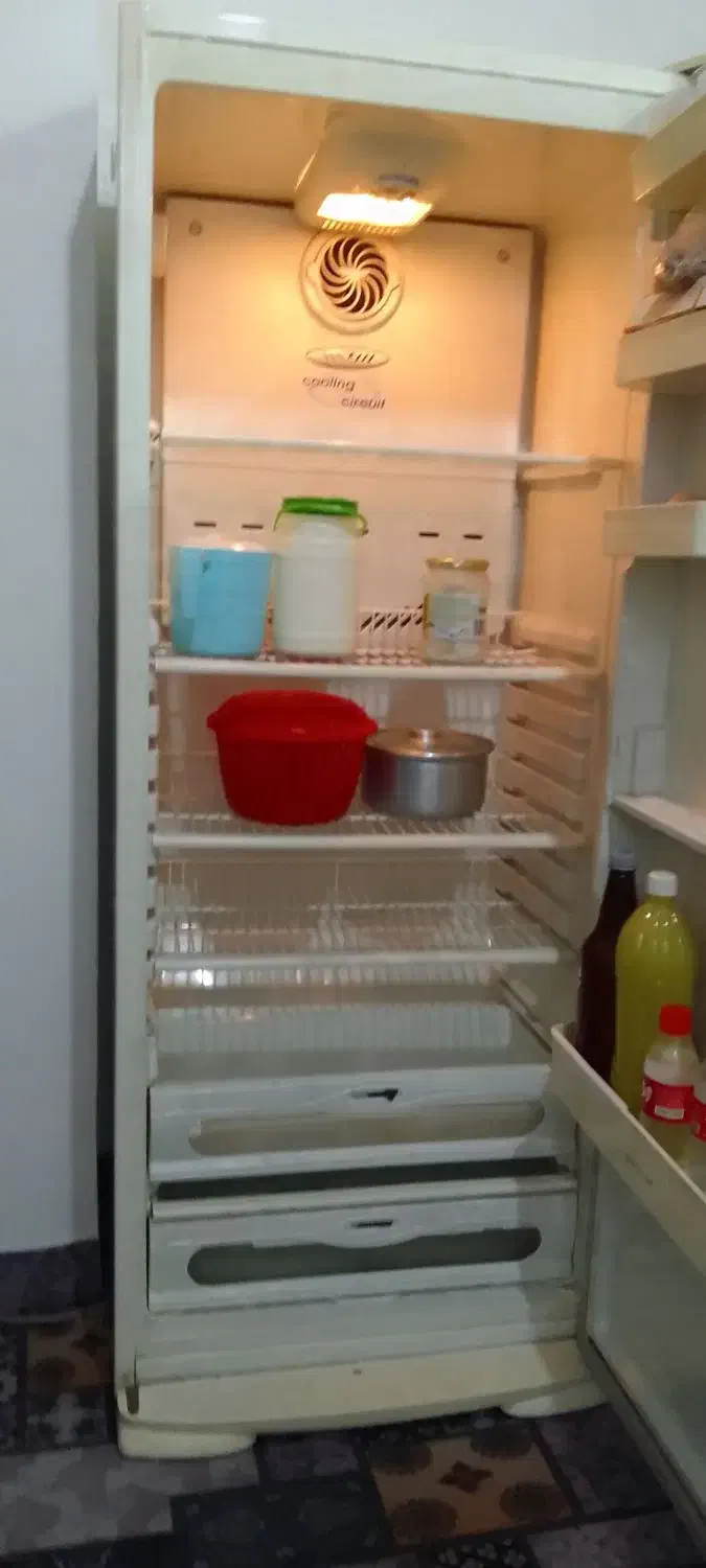 یخچال تروتمیز|یخچال و فریزر|املش, |دیوار