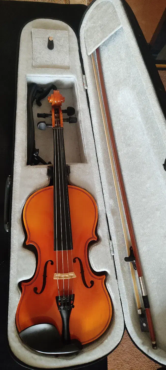 ویولن|ویولن|زاهدان, |دیوار