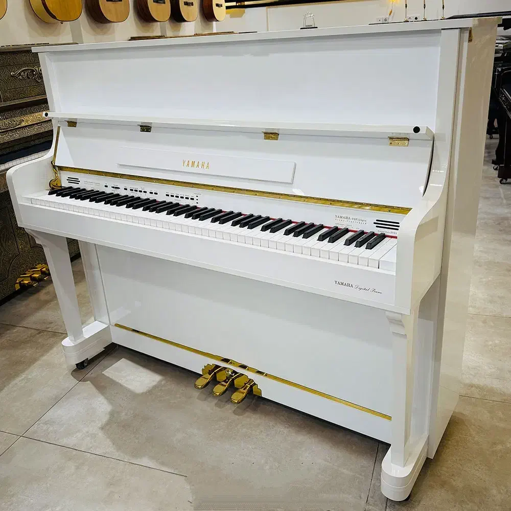پیانو یاماها p225 طرح آکوستیک/یاماها p125/پیانو|پیانو، کیبورد، آکاردئون|تهران, مهرآباد جنوبی|دیوار