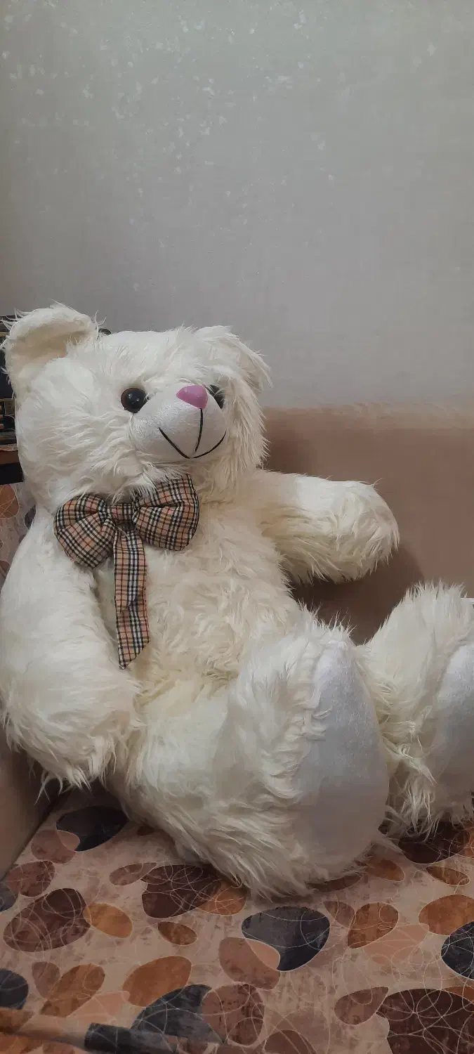 عروسک خرسی|اسباب‌‌بازی|زنجان, |دیوار