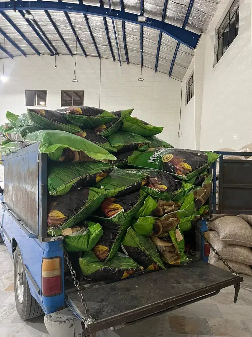 تخمه آفتابی وکدو خام وطعم دار|عمدهفروشی|قم, خداکرم|دیوار