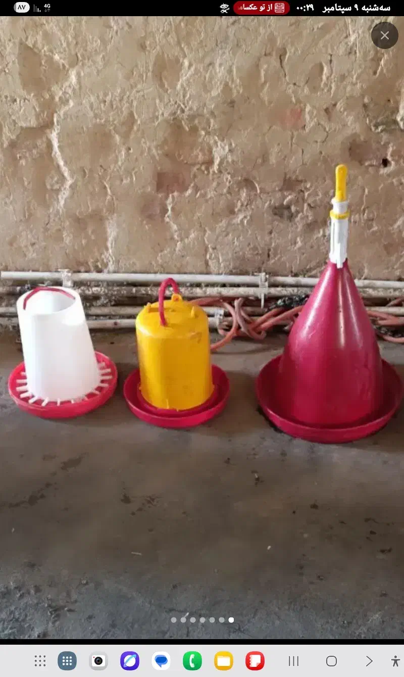 فروش دانخوری و آبخوری|لوازم جانبی حیوانات|کیلان, |دیوار