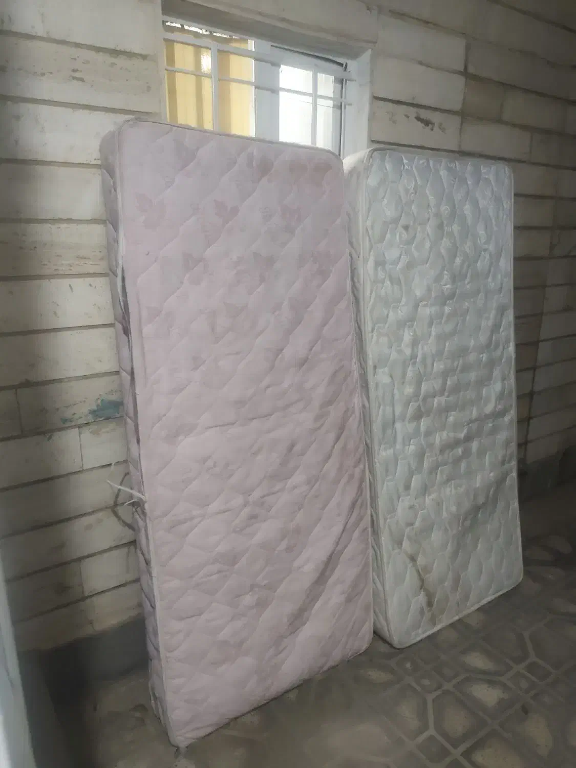 خوش خواب یک نفر 500 تومن یک عدد دیگر 800 تومن|تشک تختخواب|شیراز, فرگاز|دیوار