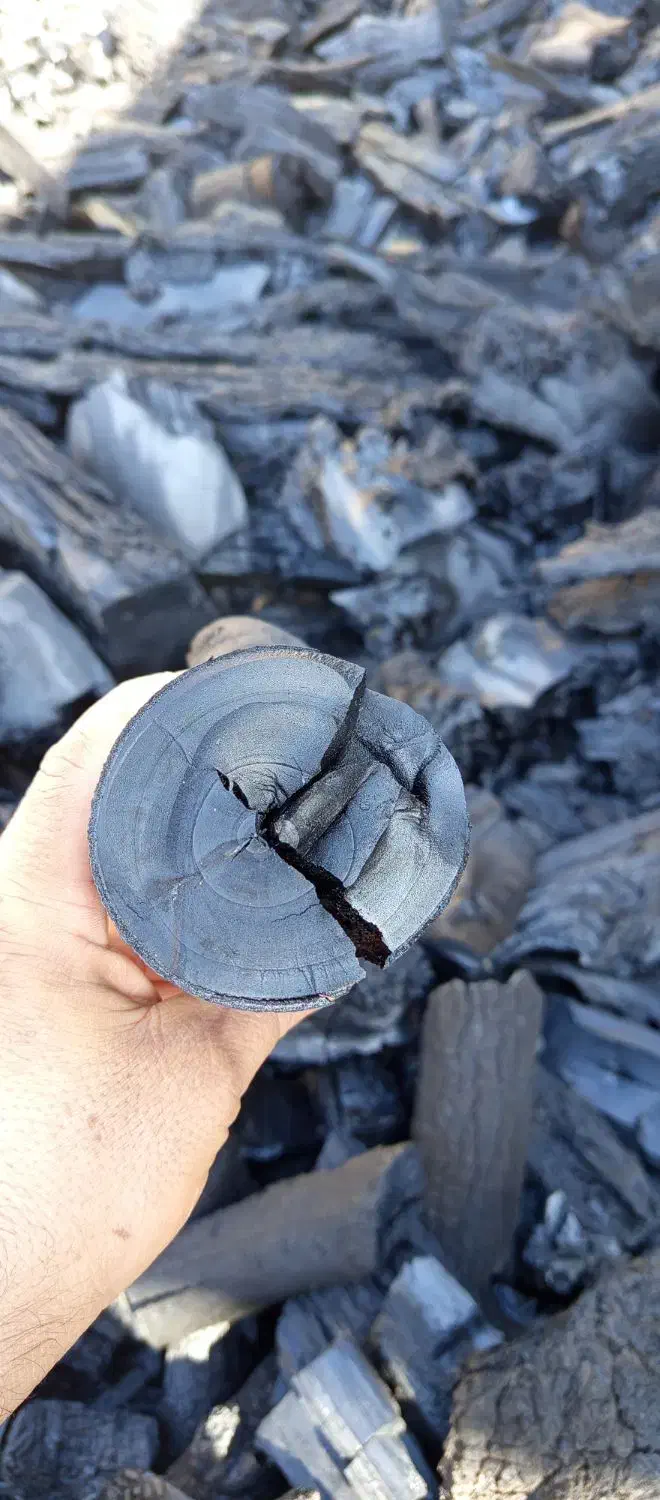 زغال کبابی با گارانتی کتبی|عمده‌فروشی|شوشتر, |دیوار