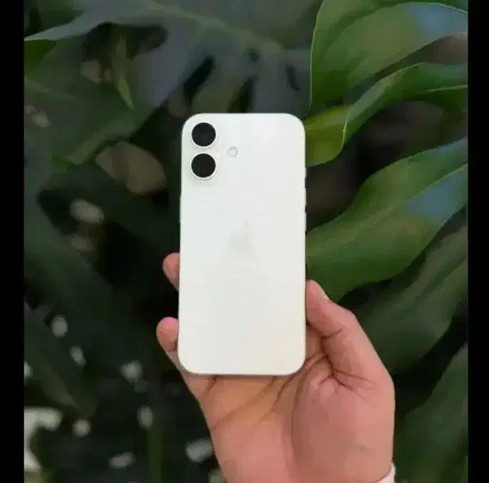 ایفون 16نرمال|موبایل|مشهد, شهرک رازی (شهرک غرب)|دیوار