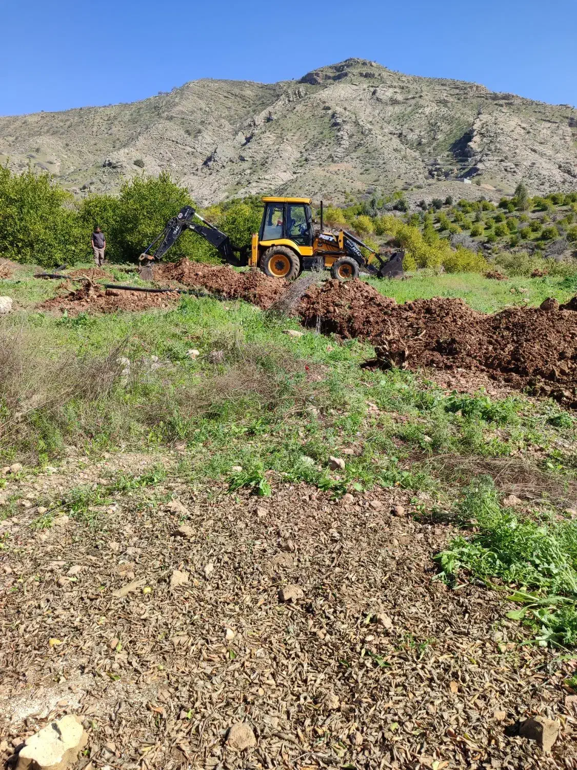 زمین کشاورزی اب شخصی|فروش زمین و ملک کلنگی|بوستان, |دیوار