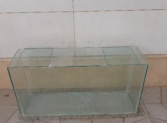 آکواریوم یک متری|ماهی|دلیجان, |دیوار