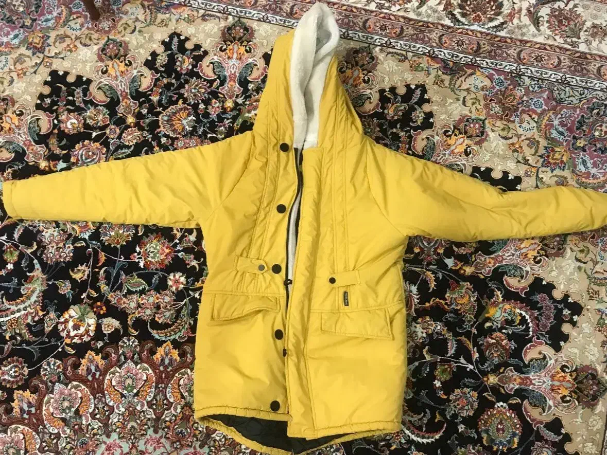 کاپشن|لباس|اردبیل, |دیوار