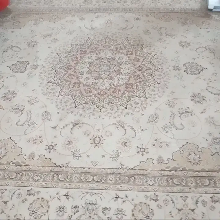 قالی تمام نخ کرم در حد نو  شسته نشده هنوز ۳/۵×۲/۵|فرش|کرمان, |دیوار