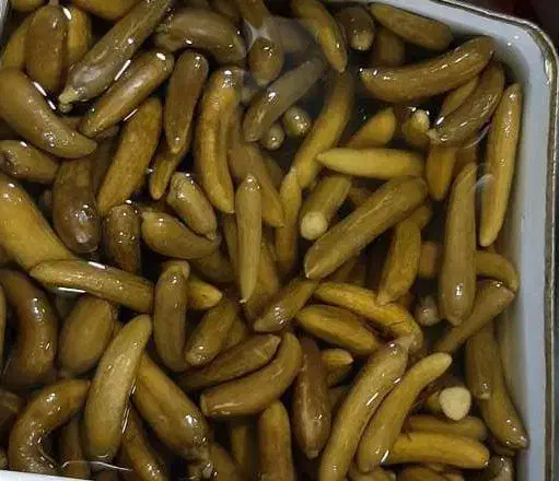 خیارشور|خوردنی و آشامیدنی|تهران, هفت چنار|دیوار
