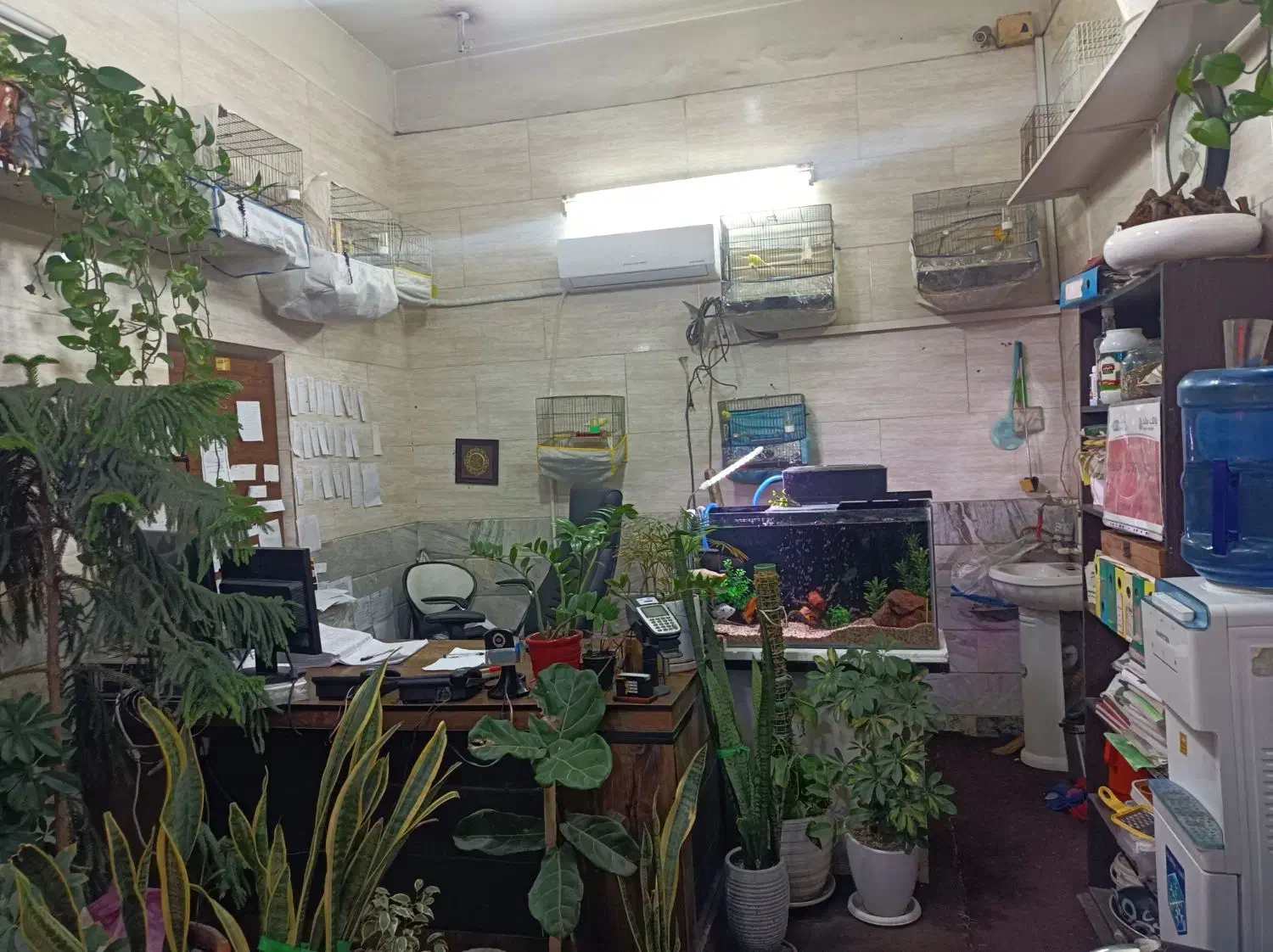 تاکسی تلفنی پرستو|استخدام حمل و نقل|قم, قلعه یزدیها|دیوار