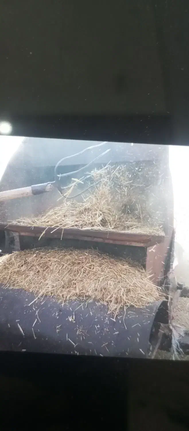 کاه گندم|حراج|نیشابور, مازول|دیوار