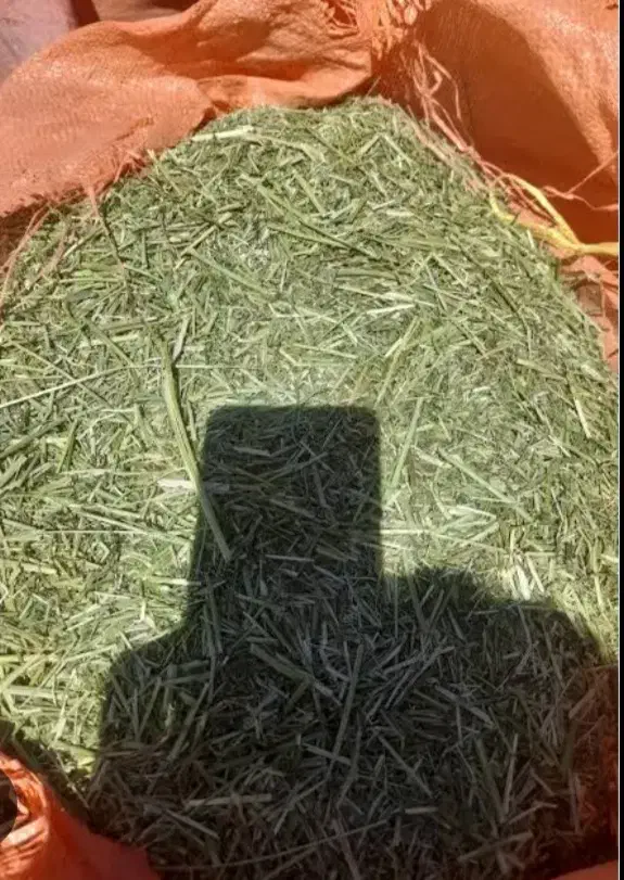 کاه گل یونجه شاهی|لوازم جانبی حیوانات|خوانسار, |دیوار