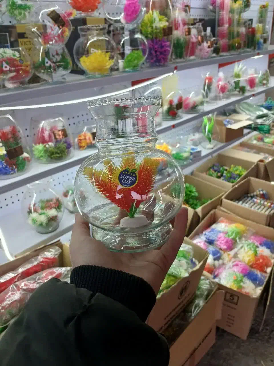 فروش انواع تنگ ماهی قرمز به صورت عمده|ماهی|قم, یزدانشهر|دیوار