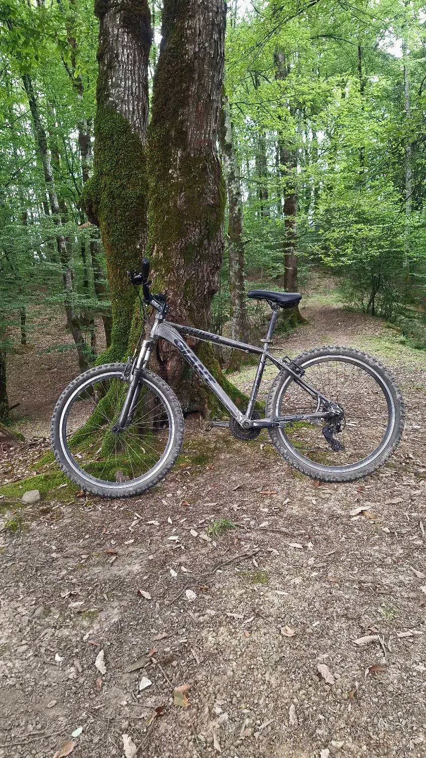 دوچرخه کوهستان جاینت|دوچرخه، اسکیت، اسکوتر|رامسر, |دیوار