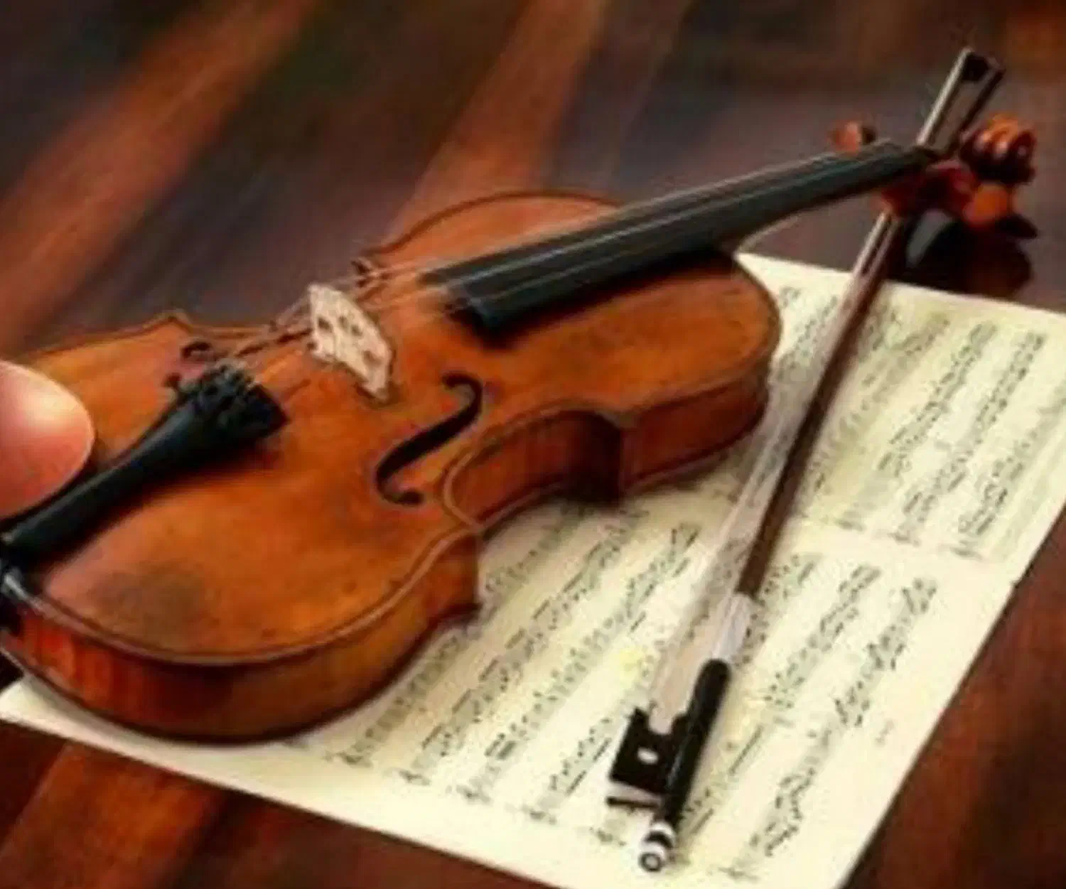 ویولن|ویولن|تهران, اباذر|دیوار