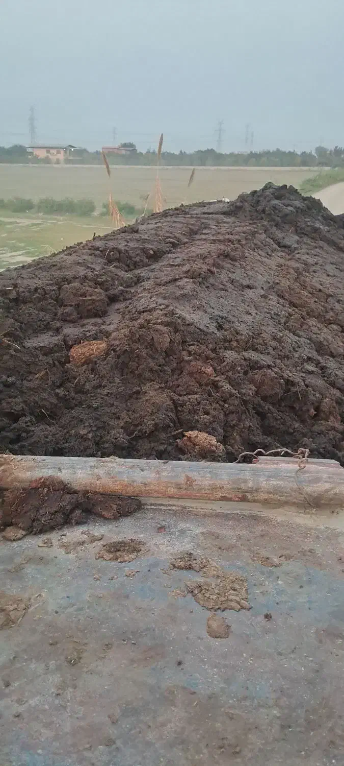 فروش کود گاوی|خدمات باغبانی و درختکاری|گرگان, |دیوار