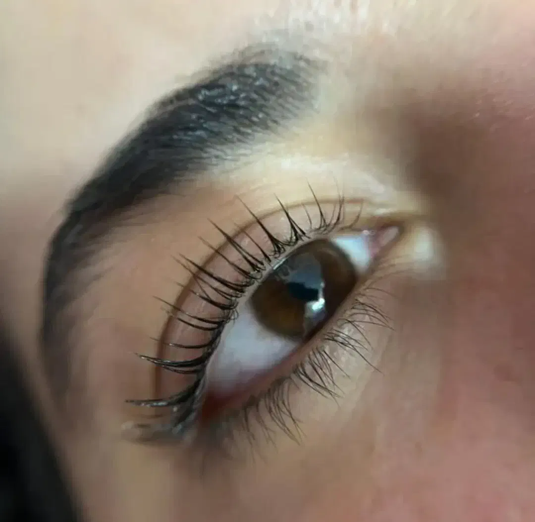 لیفتولمینت مژه و ابرو|خدمات آرایشگری و زیبایی|محمودآباد, |دیوار