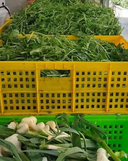 سبزیجات خرد شده|خوردنی و آشامیدنی|کرج, احدآباد|دیوار