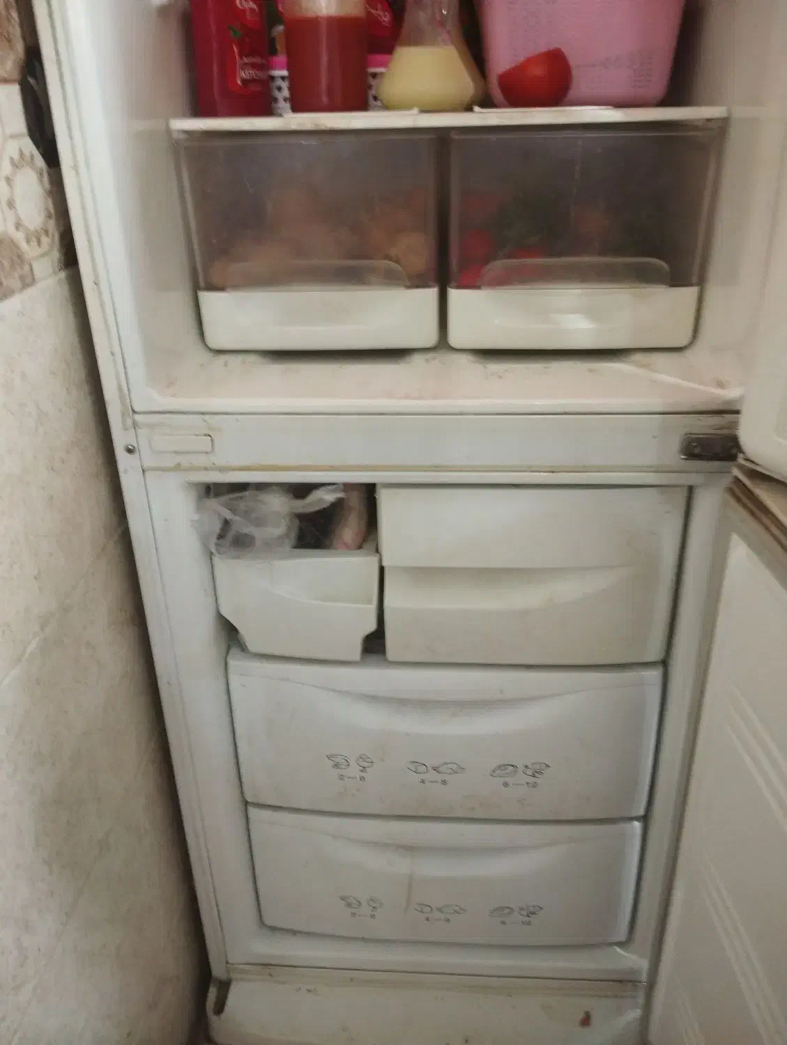 یخچال فریزر سامسونگ|یخچال و فریزر|اهواز, پردیس دو|دیوار