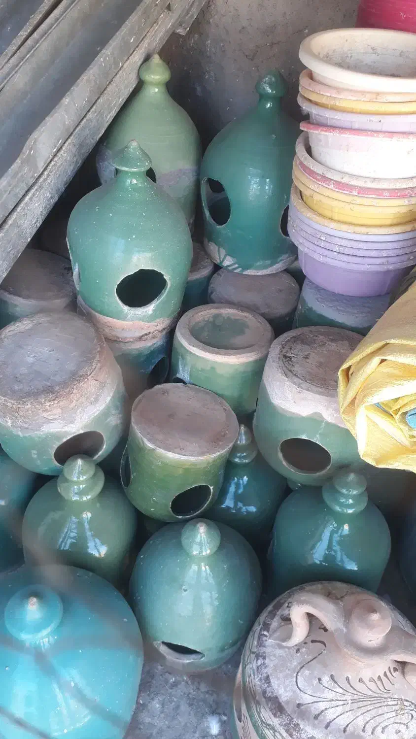 کبوتر پرشی|پرنده|هشتگرد, هشتگرد قدیم|دیوار