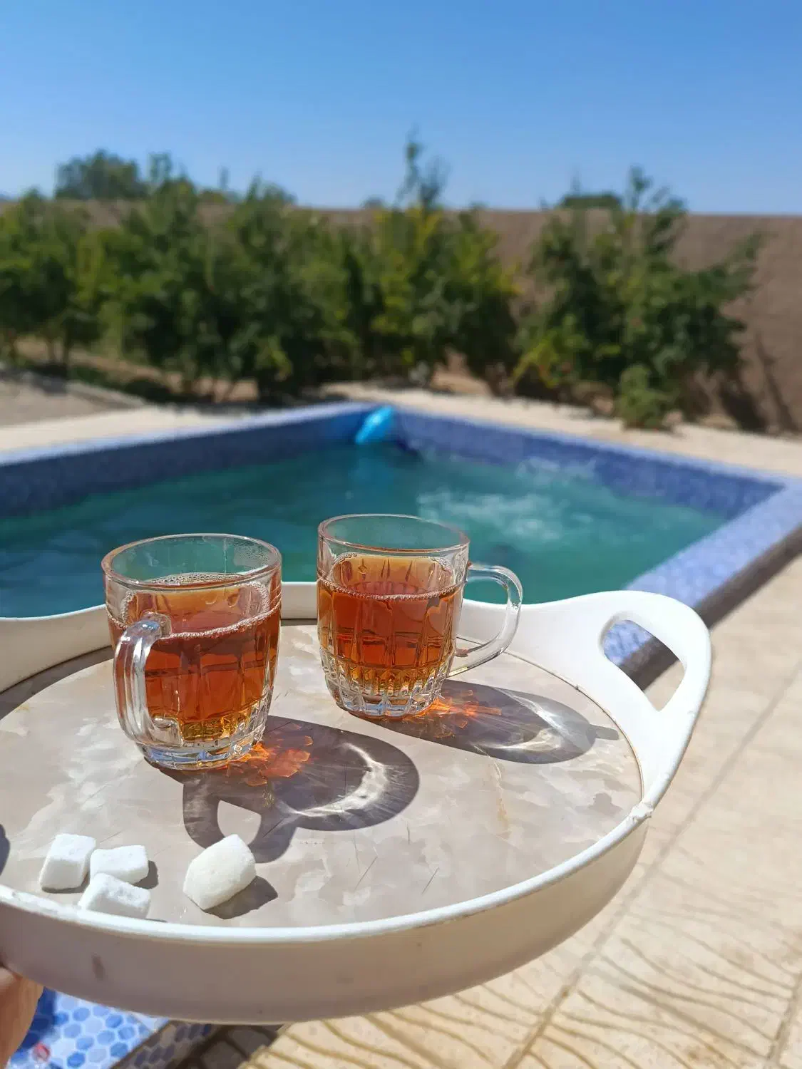 ویلا باغ شاهزاده علی اکبر|فروش خانه و ویلا|شهرضا, |دیوار