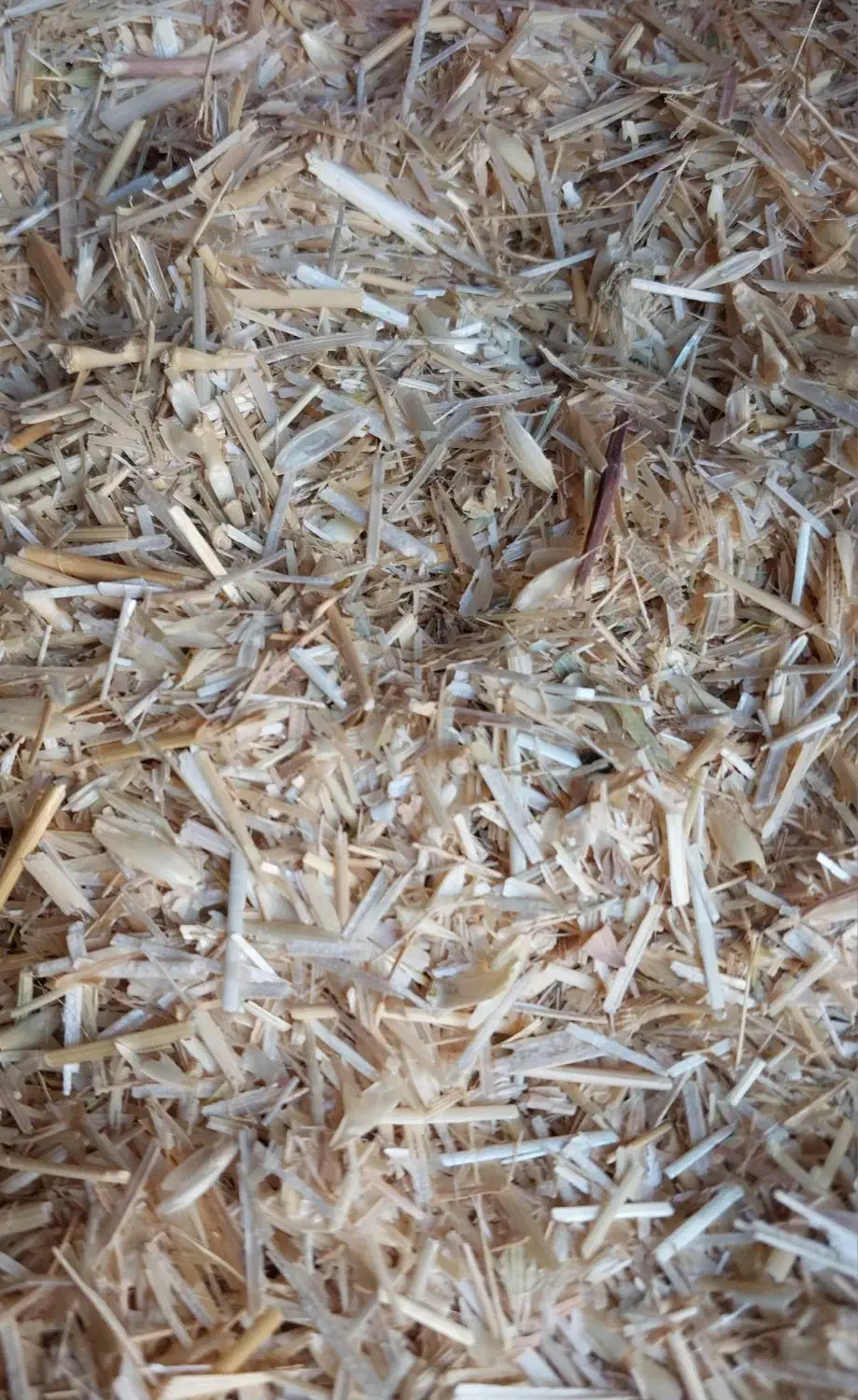 کاه گندم دیم|خدمات باغبانی و درختکاری|گرمخان, |دیوار