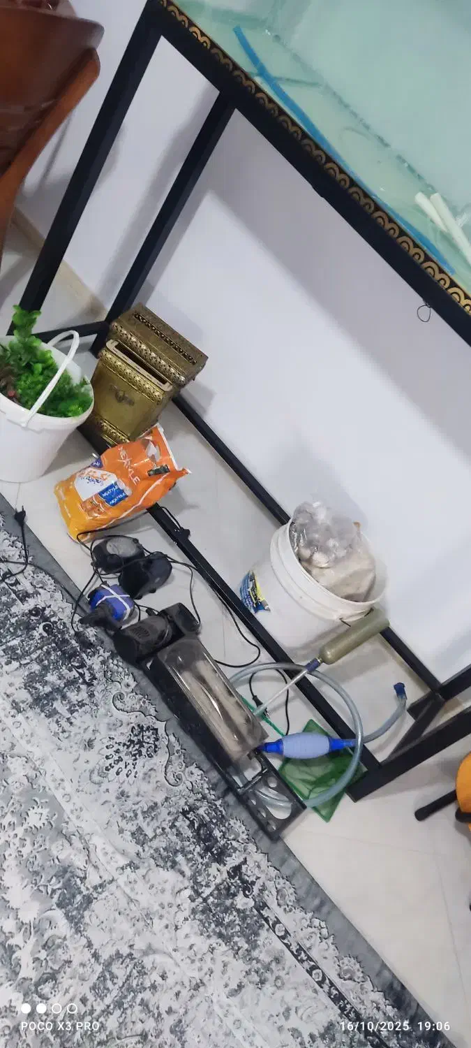 فروش آکواریوم با تمام تجهیزات|ماهی|پاکدشت, حصار امیر|دیوار