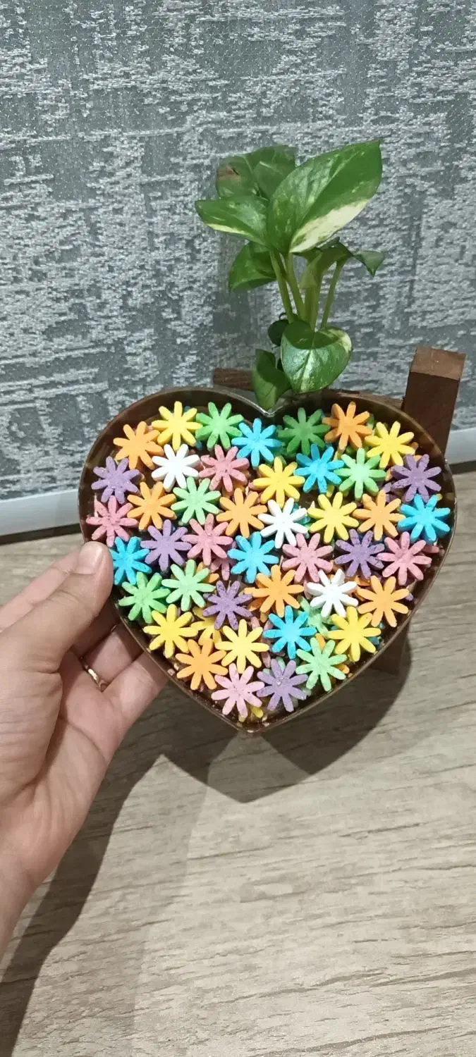 قندو نبات|خوردنی و آشامیدنی|تهران, مشیریه|دیوار