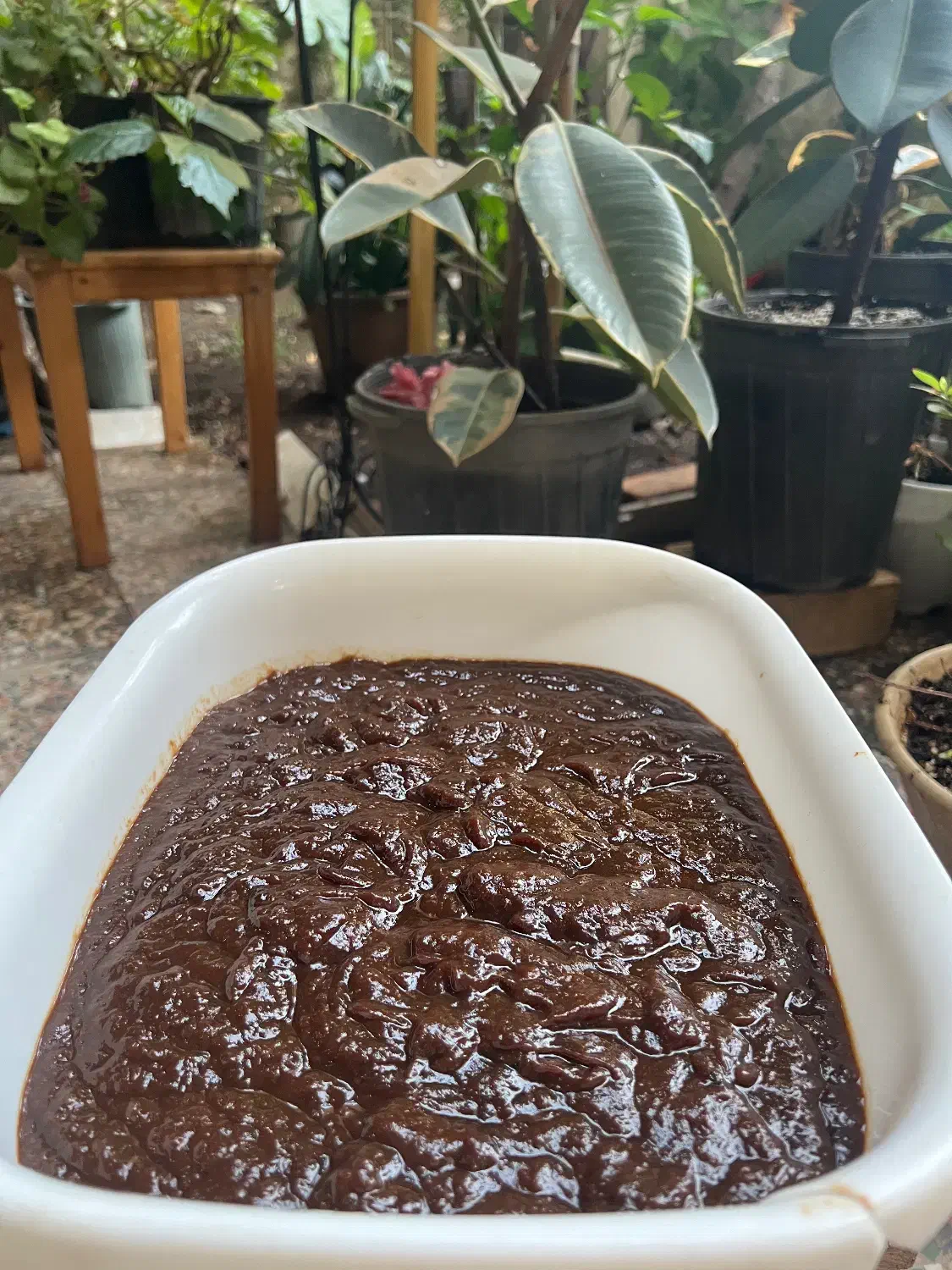 رب الوچه درجه ۱دردو نوع ترش وملس|خوردنی و آشامیدنی|لاهیجان, امیرشهید|دیوار