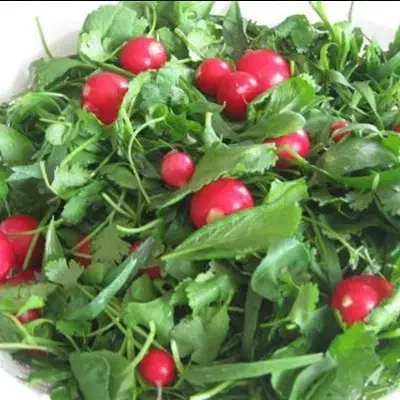 سبز|تلفن رومیزی|اردبیل, |دیوار