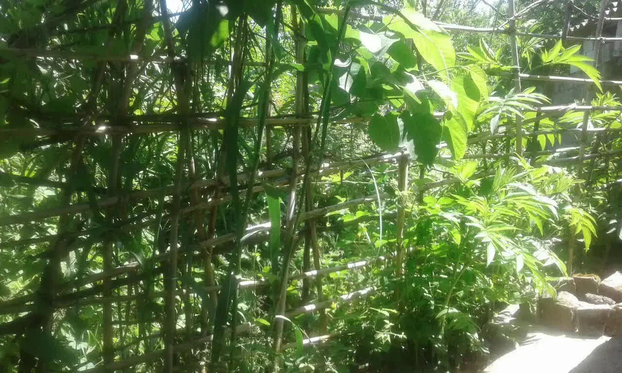 فروش باغ|فروش خانه و ویلا|زرگرشهر, |دیوار