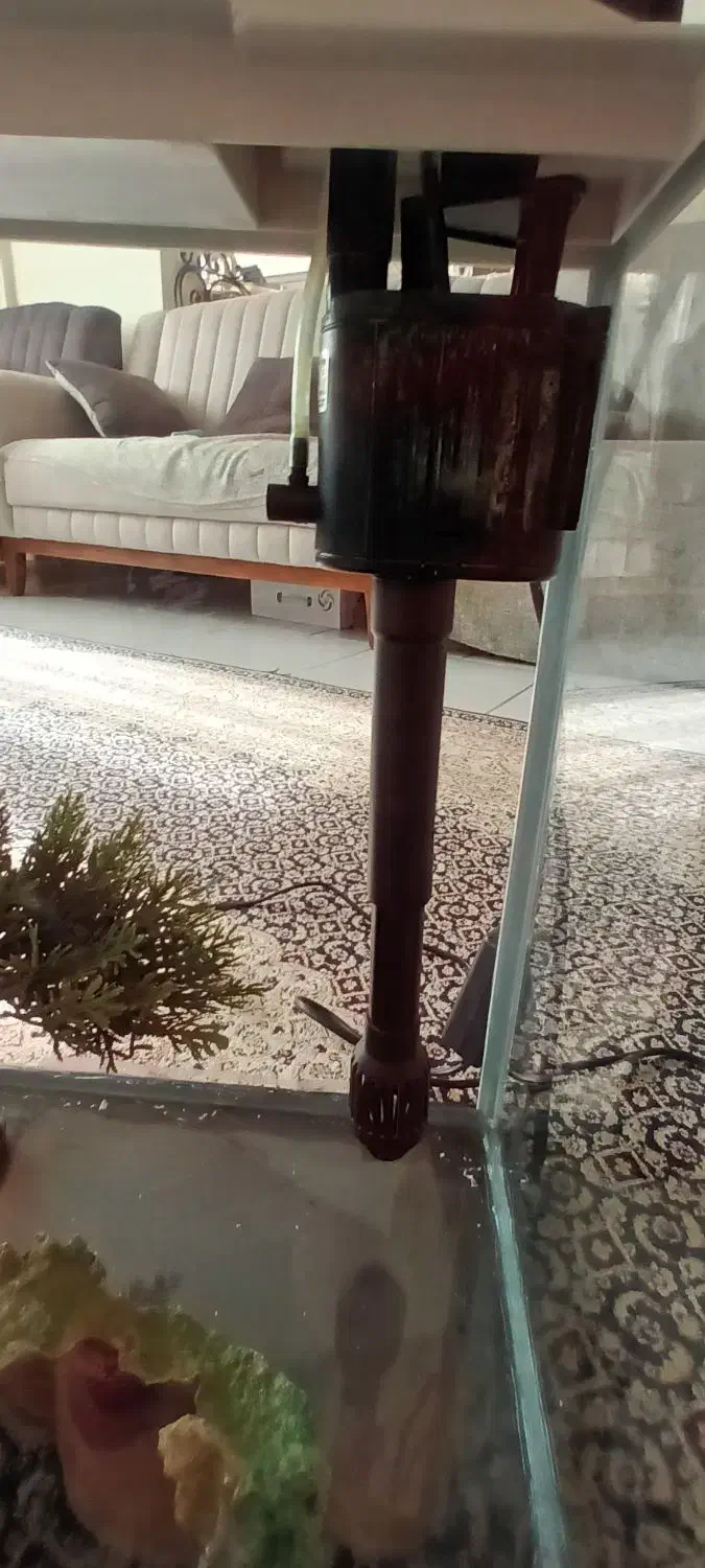 آکواریوم ماهیران|ماهی|پرند, فاز ۶|دیوار