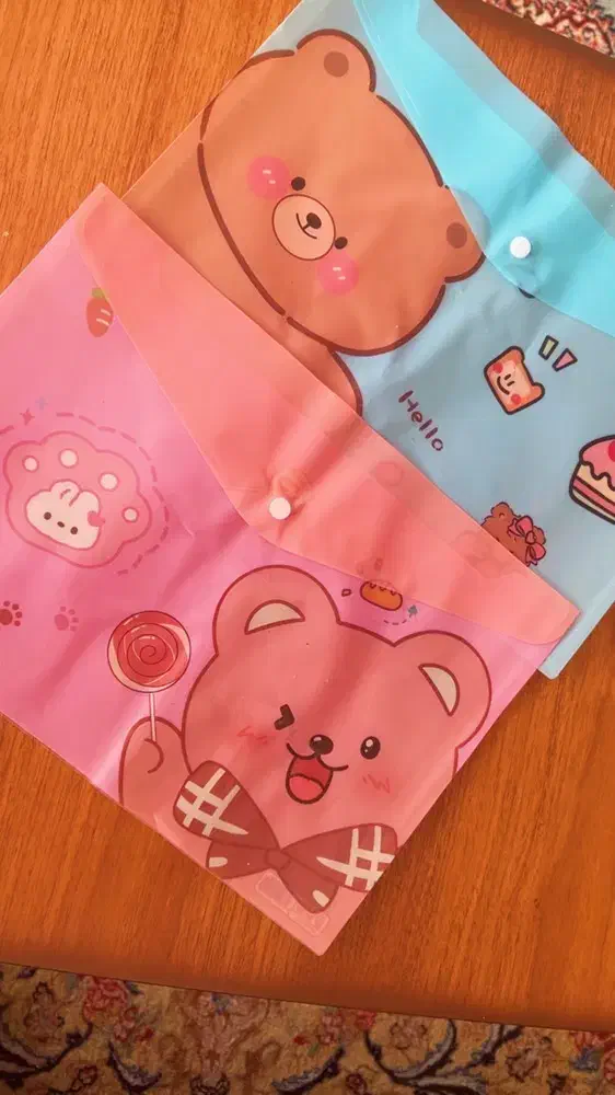 پوشه دکمه دار فانتزی|لوازم التحریر|بیرجند, |دیوار